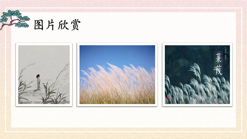 统编8年级语文下册 12 《诗经》二首【第二课时】 PPT课件第3页
