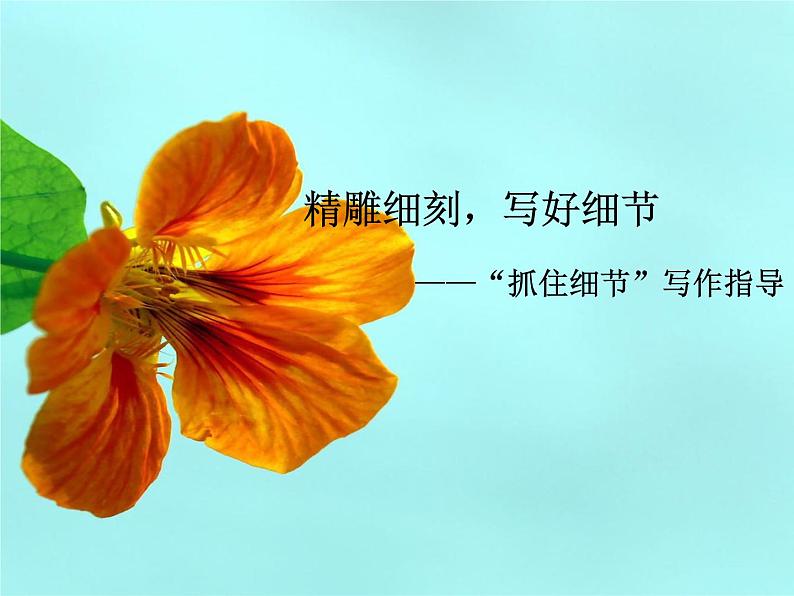 七年级下册第三单元写作 抓住细节 课件01