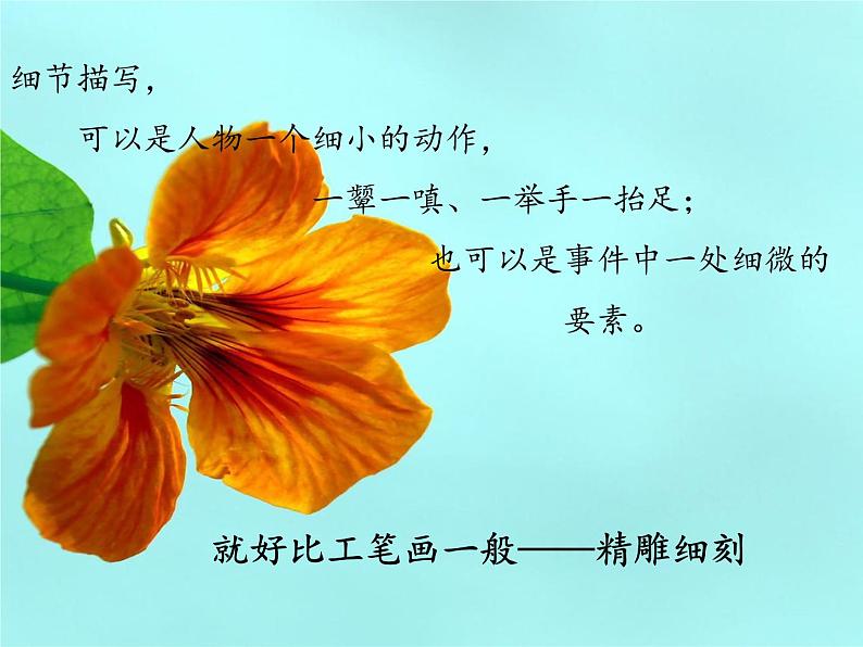 七年级下册第三单元写作 抓住细节 课件02
