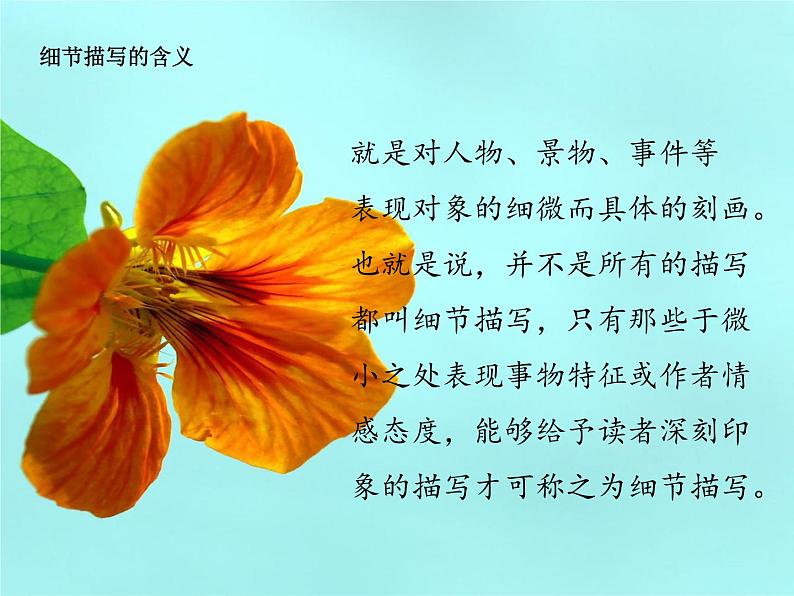 七年级下册第三单元写作 抓住细节 课件03