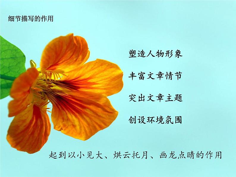 七年级下册第三单元写作 抓住细节 课件04