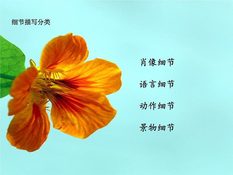 七年级下册第三单元写作 抓住细节 课件05