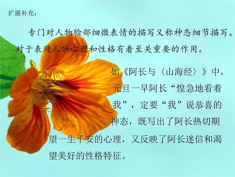 七年级下册第三单元写作 抓住细节 课件07