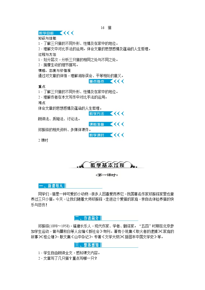 初中语文人教部编版七年级上册16 猫精品教案