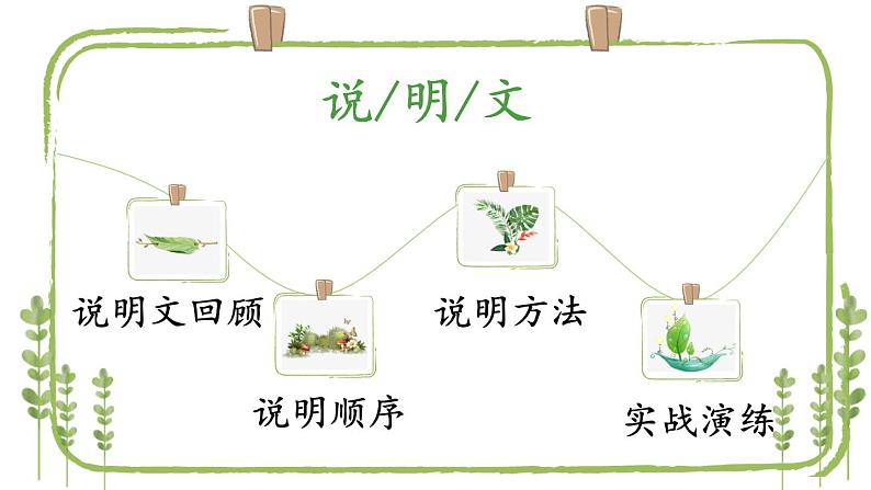 2023届人教部编版语文中考说明文阅读专题课件:说明文初讲第2页