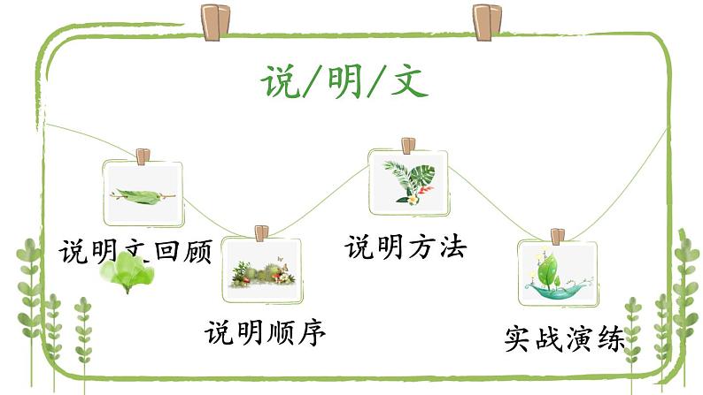 2023届人教部编版语文中考说明文阅读专题课件:说明文初讲第4页