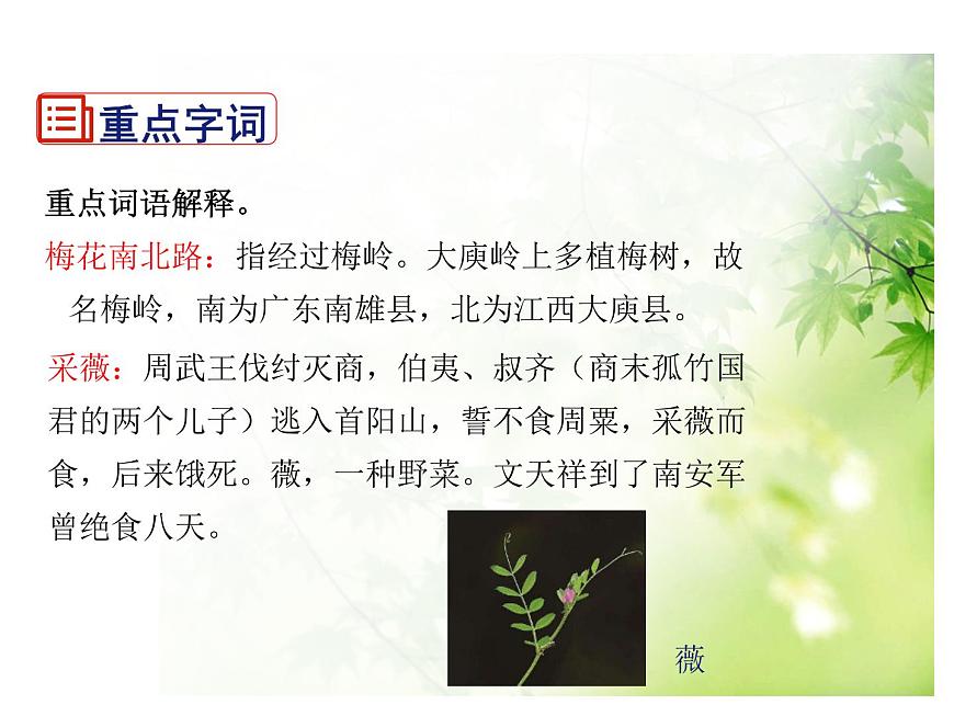 九下 課外古詩(shī)詞閱讀指導(dǎo)課件第6頁(yè)
