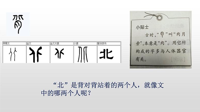 散步 教学课件第3页