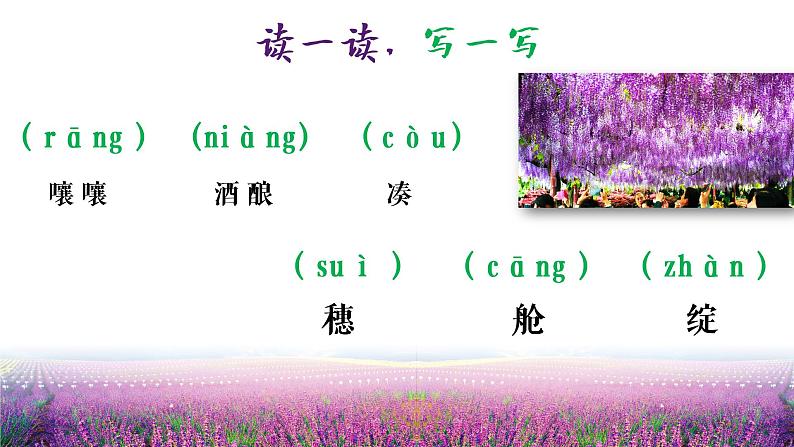 紫藤萝瀑布 课件第1页