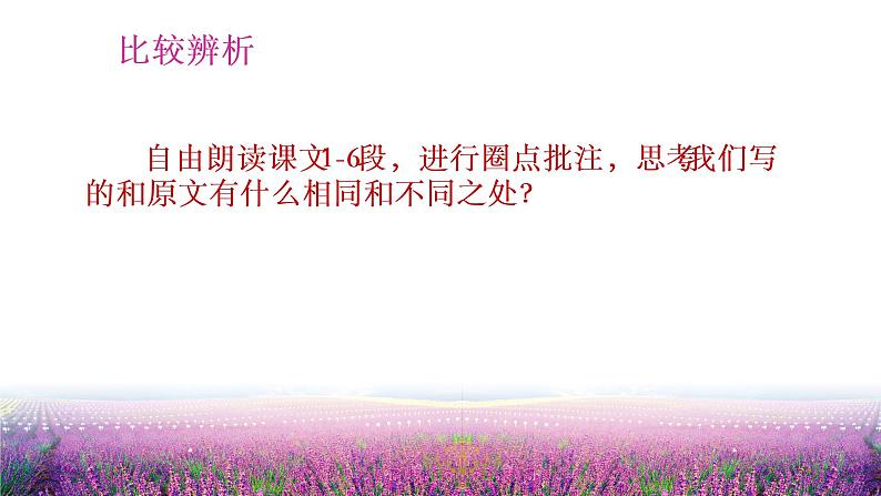 紫藤萝瀑布 课件第4页