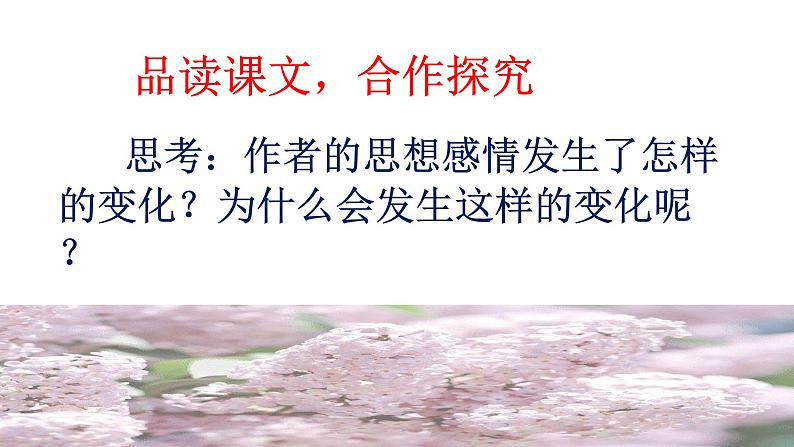 紫藤萝瀑布 课件第7页