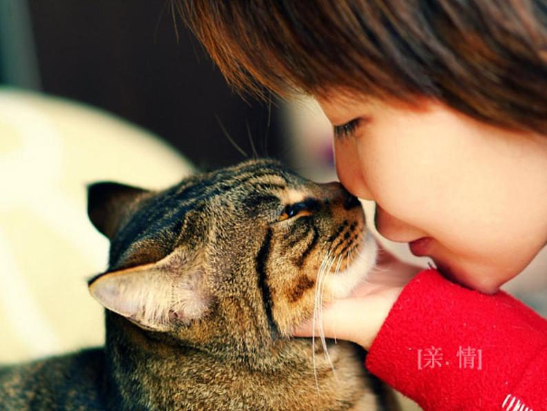部编版七年级语文上册--16 猫(精品课件3)第6页