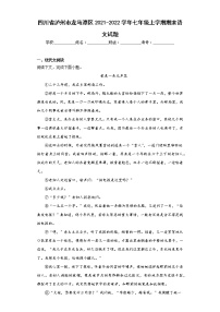 四川省瀘州市龍馬潭區(qū)2021-2022學(xué)年七年級上學(xué)期期末語文試題(含答案)