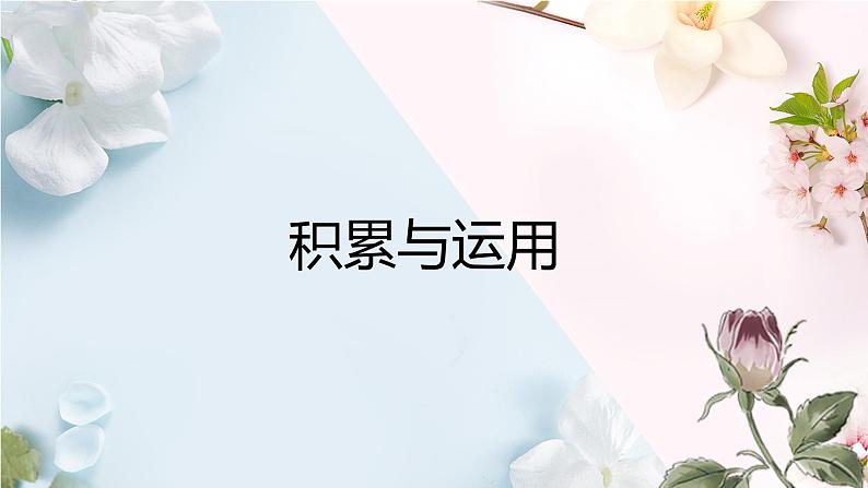 七年级上册期末基础知识总结课件第3页
