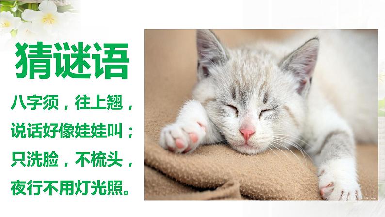 第16课《猫》课件 部编版语文七年级上册第1页