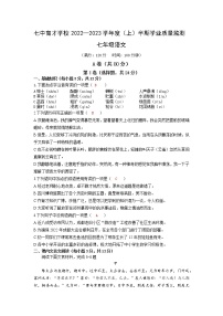 四川省成都市七中育才学校2022-2023学年七年级上学期期中学业质量监测语文试题(含答案)