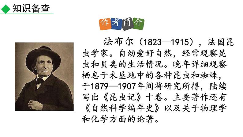 部编版八年级语文上册--第21.课  蝉(课件)第4页