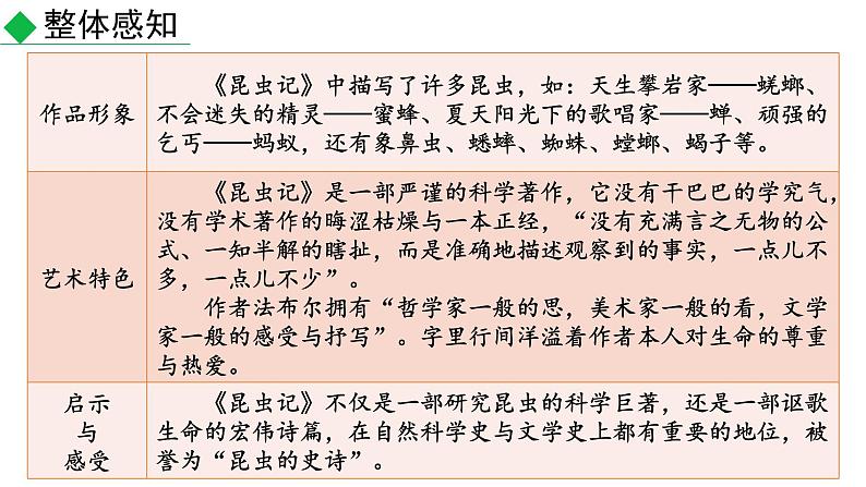 部编版八年级语文上册--《昆虫记》科普作品的阅读(课件)第3页