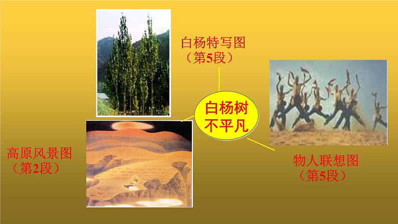 人教版八年级上册白杨礼赞教学课件第5页