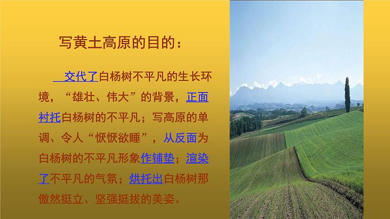 人教版八年级上册白杨礼赞教学课件第7页