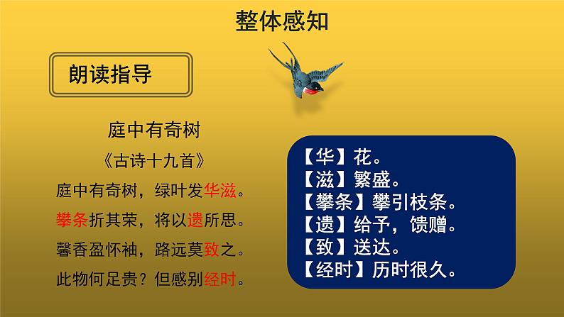 【教学课件】庭中有奇树示范课件05