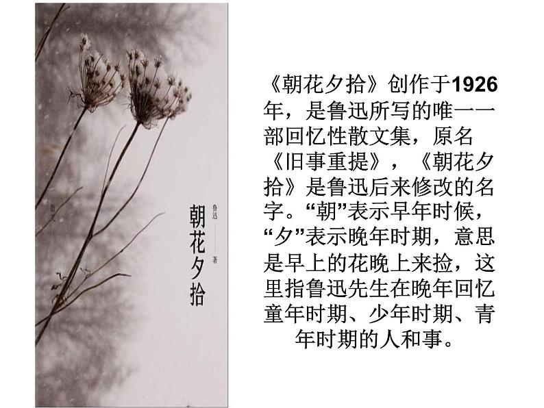 《朝花夕拾》名著导读课件第3页