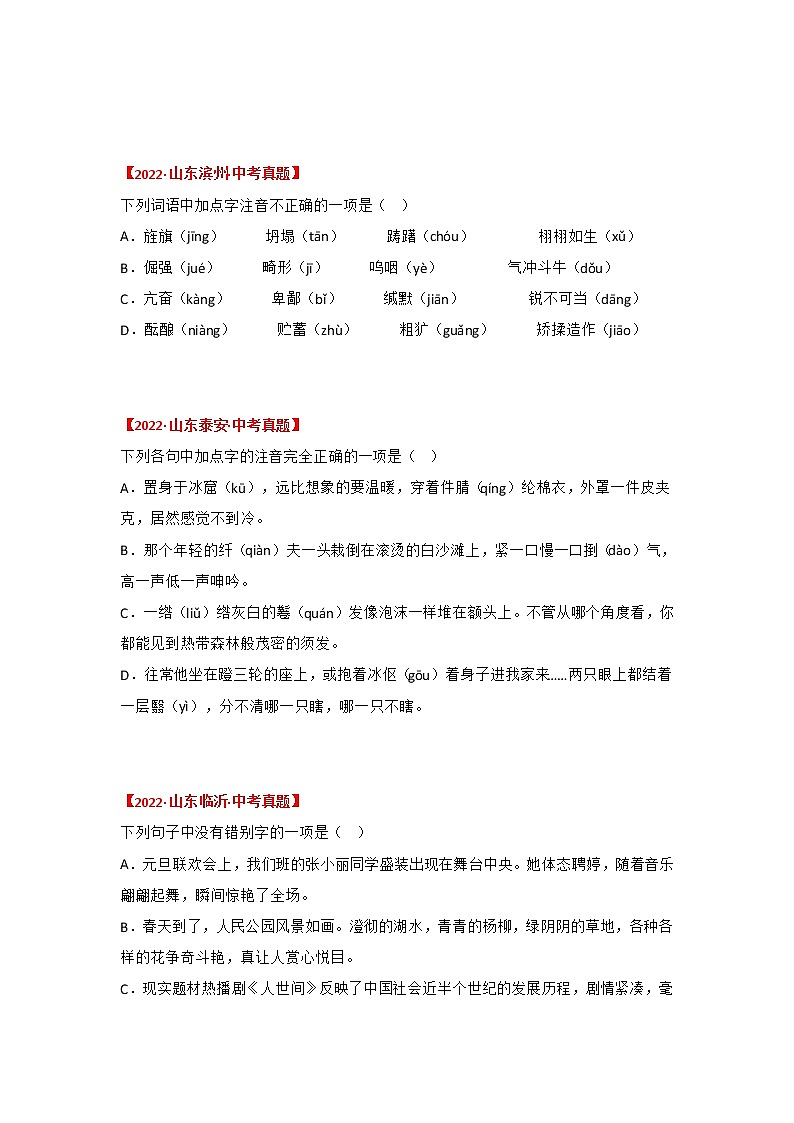 专题01 字音、字形(原卷版)-三年(2020-2022)中考真题语文分项汇编(山东专用)第2页