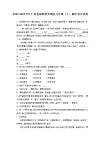 2022-2023学年广东省深圳市罗湖区九年级（上）期中语文试卷（含答案解析）