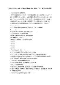 2022-2023学年广西柳州市柳城县九年级（上）期中语文试卷（含答案解析）