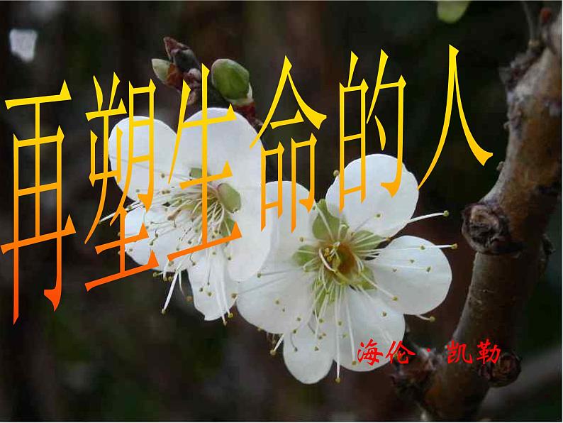 人教统编版语文10.再塑生命的人第3页