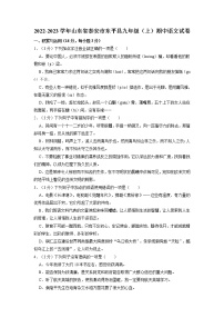 山东省泰安市东平县2022-2023学年九年级上学期期中语文试卷