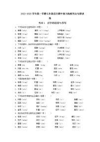 考2022-2023学年七年级上册语文期中考试高频考点专题训练点1  汉字的读音与书写（原卷+解析）