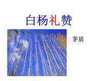 初中语文人教部编版八年级上册14 白杨礼赞图片课件ppt