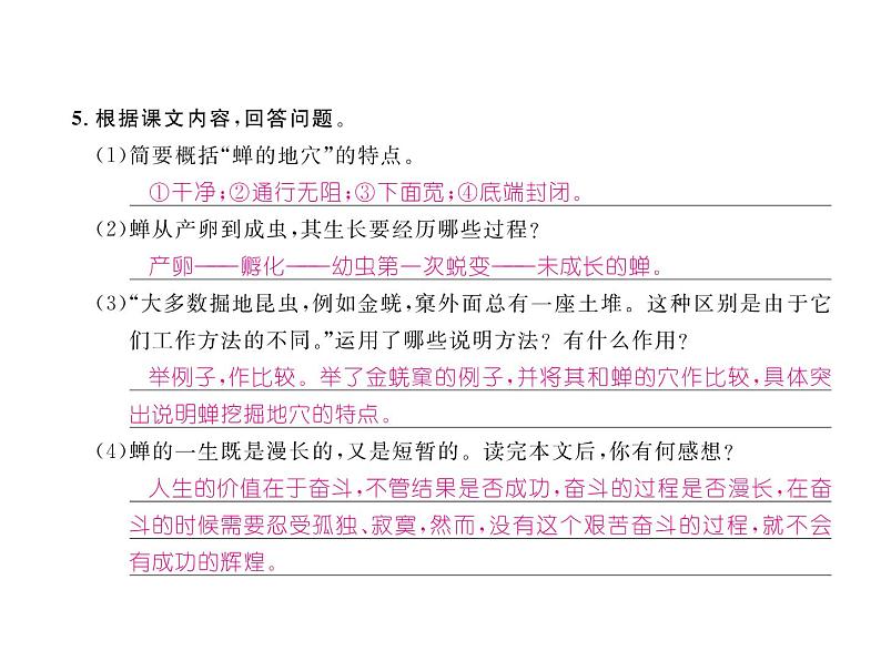 语文8上 19 蝉 练习题试题课件06