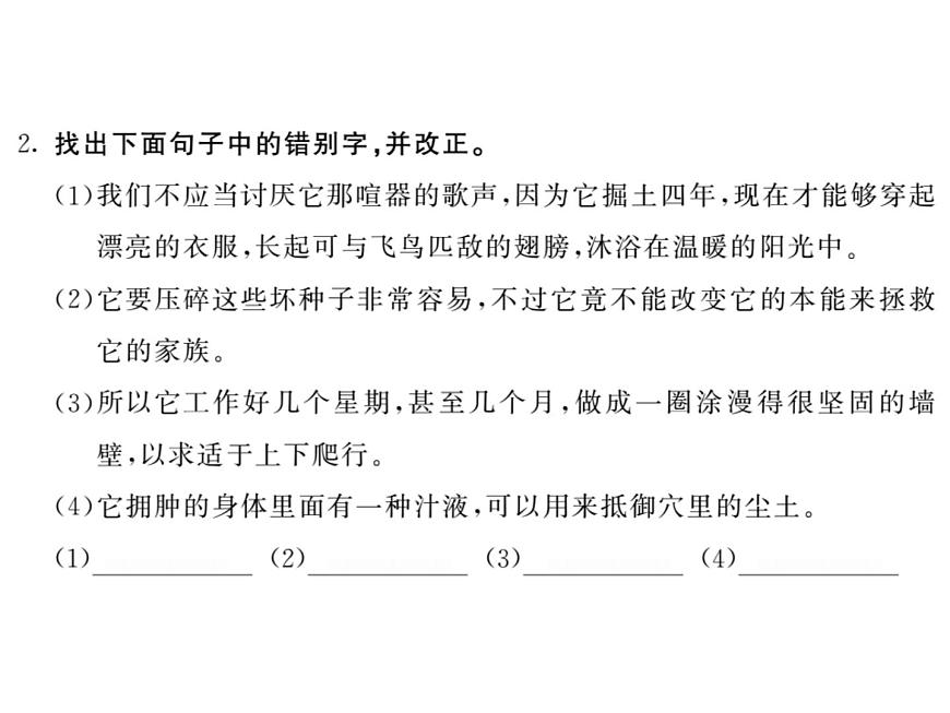 語文8上 19 蟬   習(xí)題試題課件第3頁(yè)