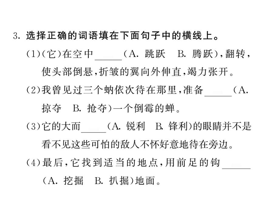 語文8上 19 蟬   習(xí)題試題課件第4頁(yè)