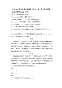 2022-2023学年安徽省芜湖市七年级（上）期中语文试卷  word，解析版