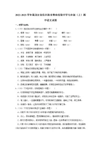 黑龙江省佳木斯市桦南县实验中学2022-2023学年七年级上学期期中语文试题(含答案)