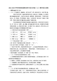 河南省洛阳市伊川县2022-2023学年七年级上学期期中语文试卷(含答案)