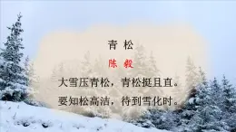 第2课《梅岭三章》課件 2021—2022学年部编版語文九年級下冊