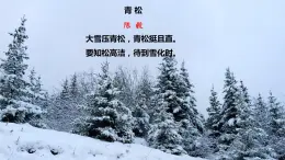 第2课《梅岭三章》-2022-2023学年九年级語文下册同步精讲課件