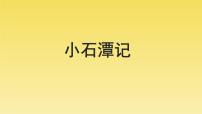 初中语文人教部编版八年级下册10 小石潭记教学ppt课件