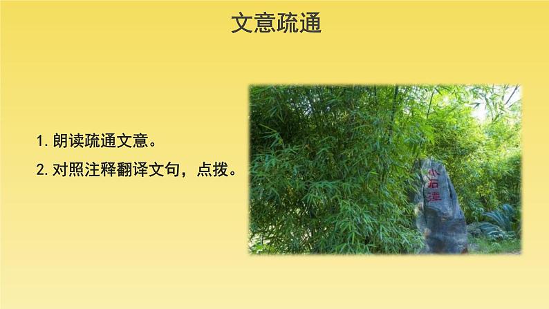 人教部编版八年级下册《小石潭记》教学课件07