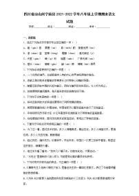 四川省凉山州宁南县2021-2022学年八年级上学期期末语文试题(含答案)