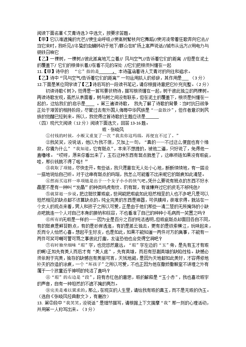 海南省临高县 2022-2023学年九年级上学期期中检测语文试题(含答案)03