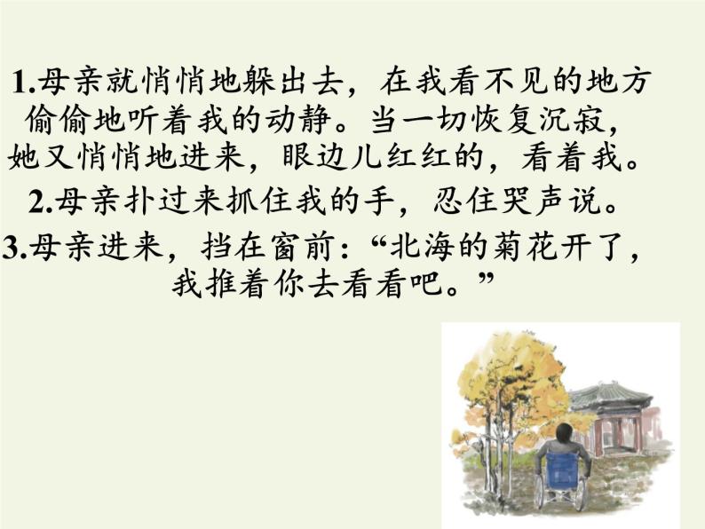 人教版（部编版）初中语文七年级上册  5.秋天的怀念  课件208