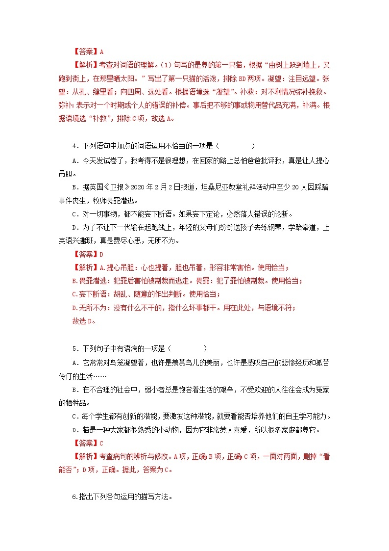 2022-2023学年七年级语文上册知识梳理与能力训练02 猫02