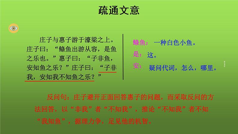 《庄子与惠子游于濠梁之上》课件05