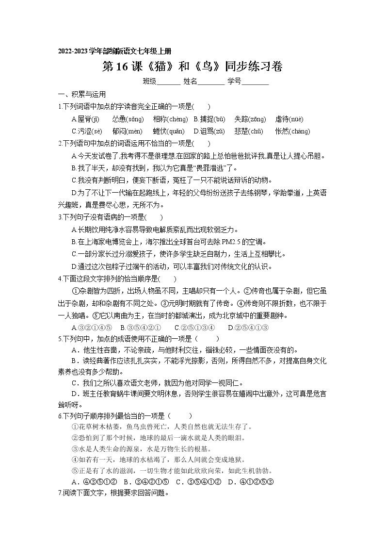 初中语文人教部编版七年级上册16 猫一课一练