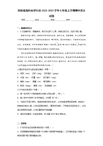 河南省洛阳市伊川县2022-2023学年七年级上学期期中语文试题(含答案)